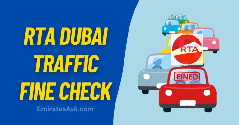 RTA Dubai Traffic Fine Check